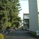 自転車置き場から下駄箱へ